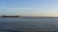 Aldebaran - estuaire de la Loire - 16 janvier 2009 (3).JPG